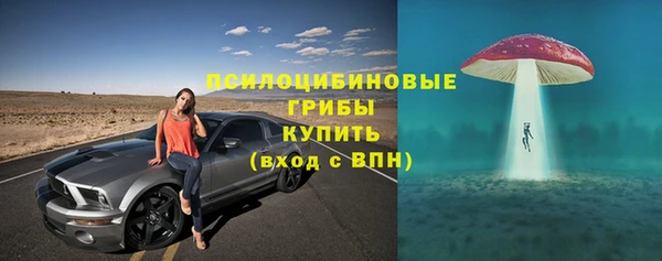 прущие грибы Алексин