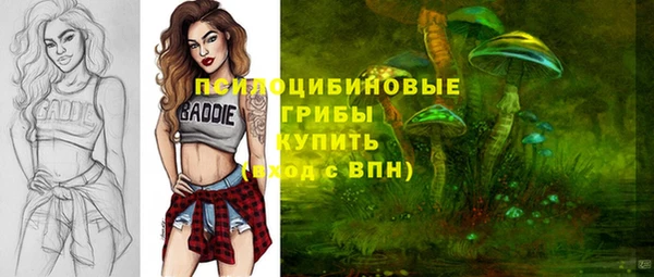 прущие грибы Алексин