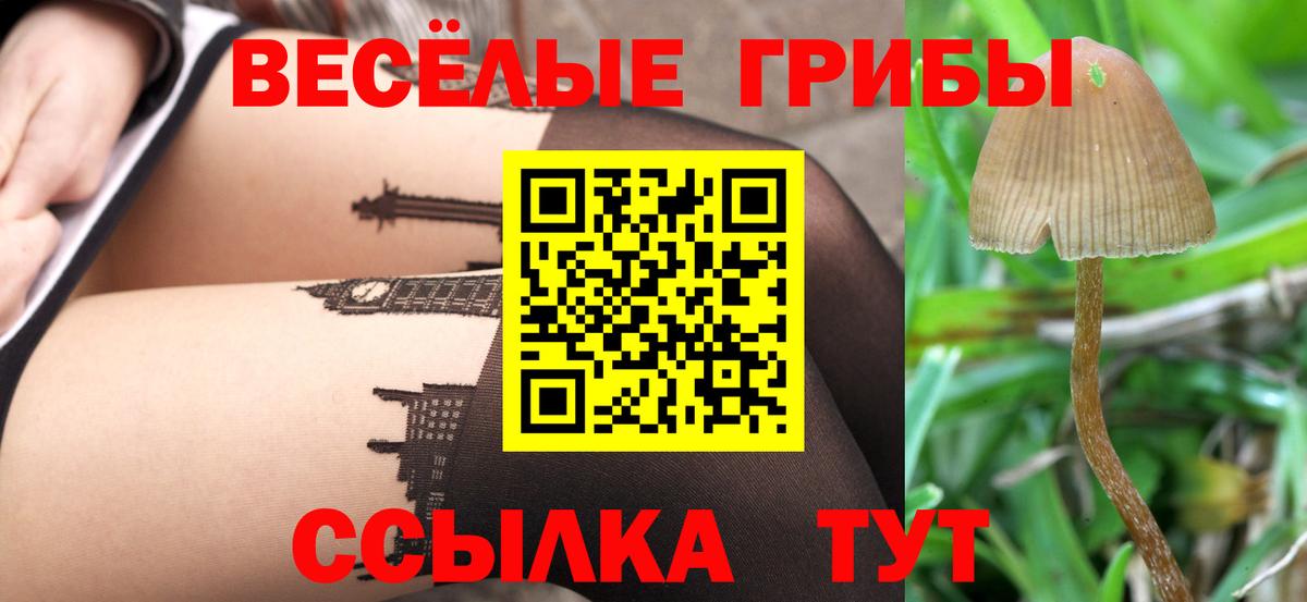 Галлюциногенные грибы Cubensis  Галлюциногенные грибы MAGIC MUSHROOMS  Владивосток  Вход с VPN 